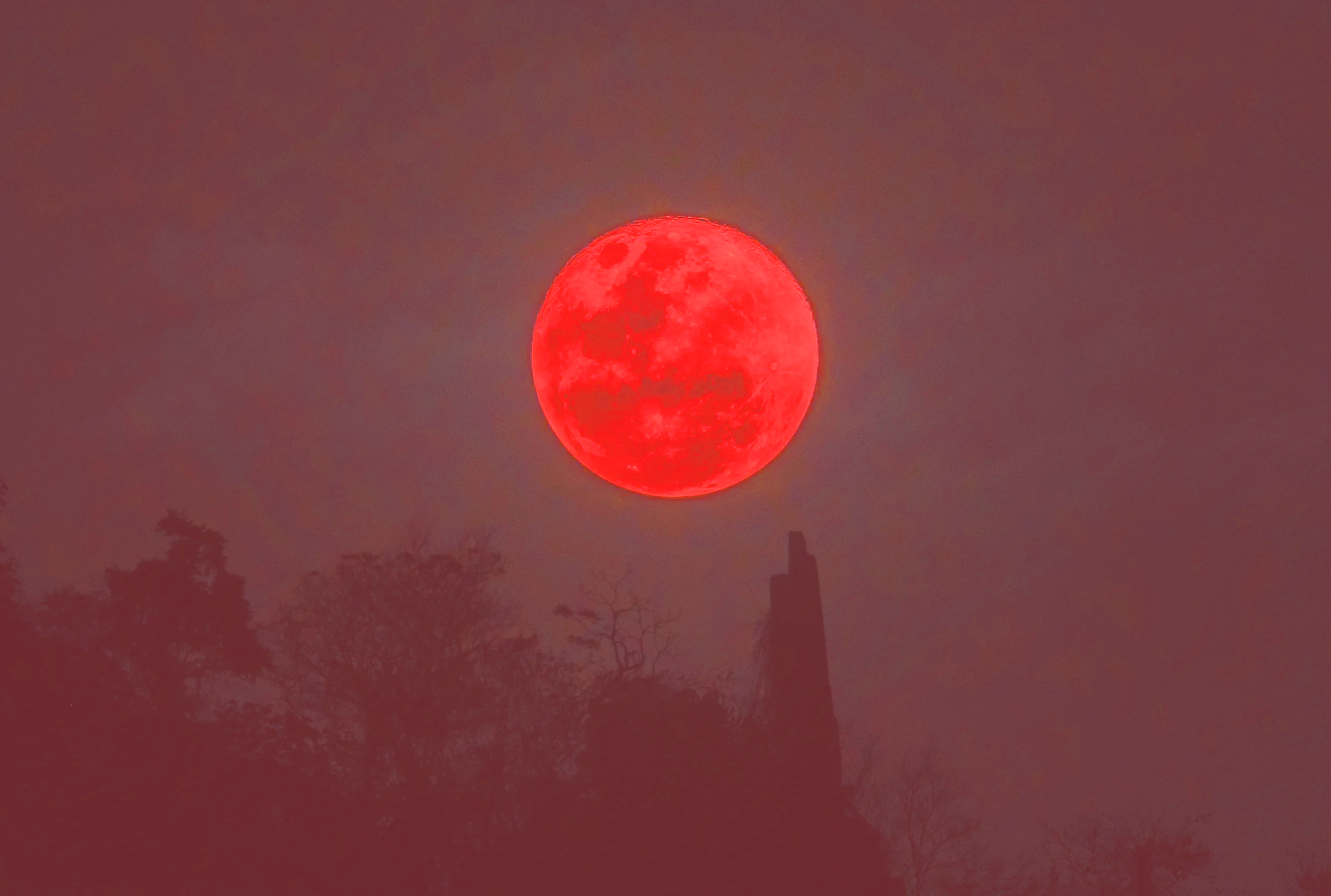 Blood Moon